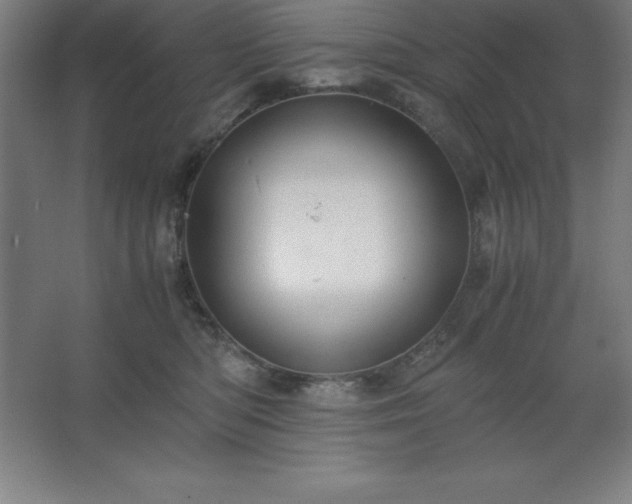 X0000062650422200512281652