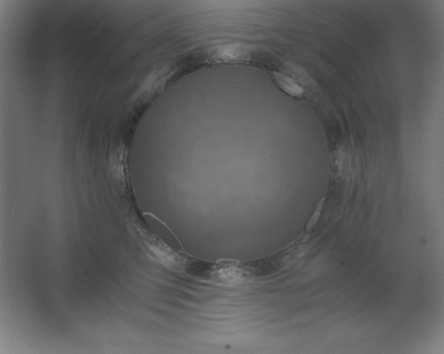 X0000062650423200512281652