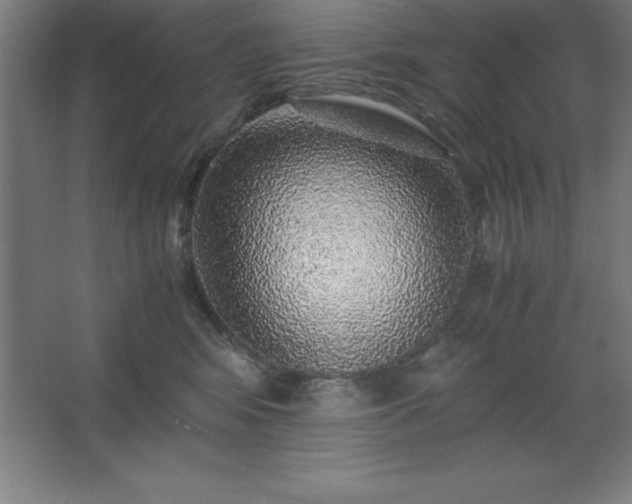 X0000062650424200512281652