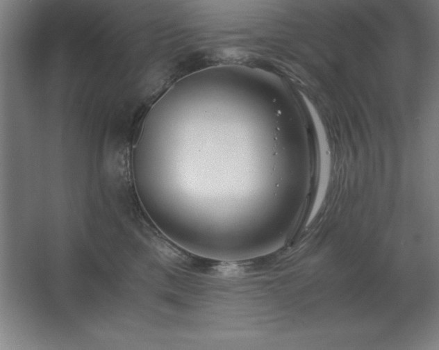 X0000062650425200512281652