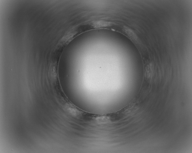 X0000062650426200512281652