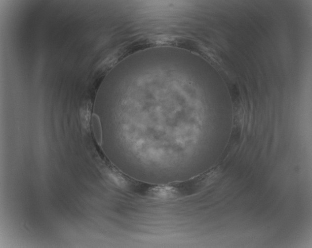 X0000062650427200512281652