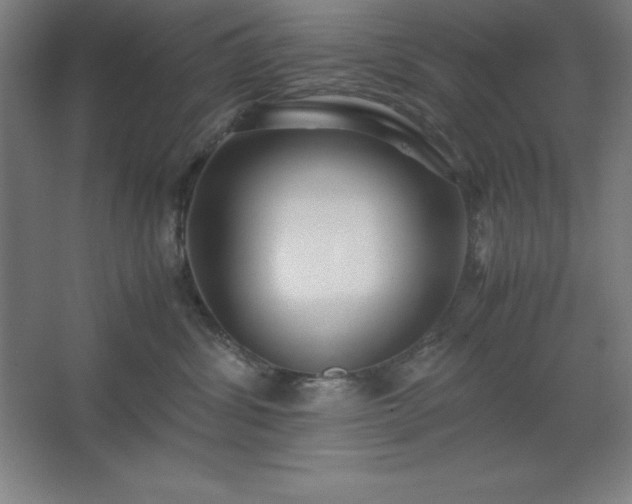 X0000062650428200512281652