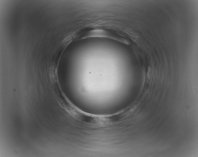 X0000062650429200512281652