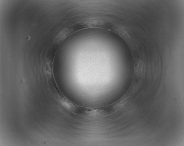 X0000062650430200512281652