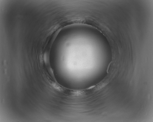 X0000062650432200512281652