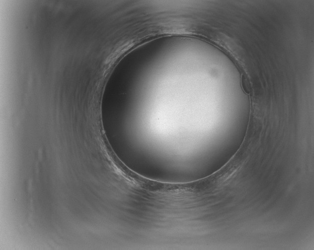 X0000062650433200512281651