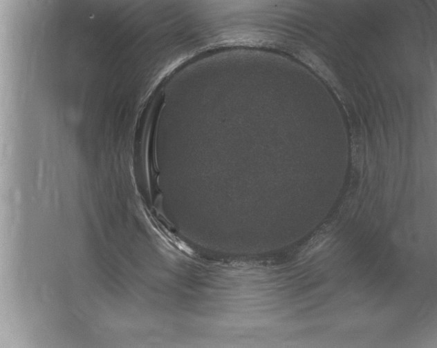 X0000062650434200512281651