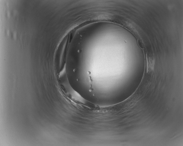 X0000062650435200512281651