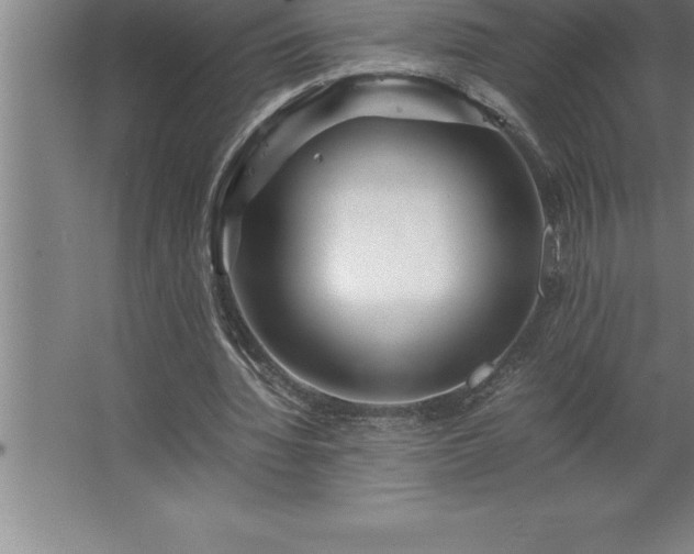 X0000062650436200512281651