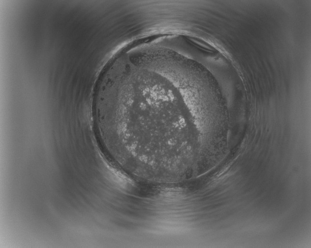 X0000062650438200512281651