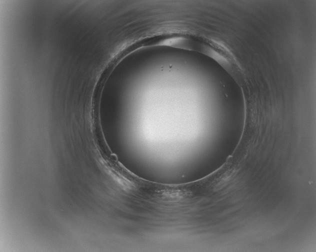 X0000062650439200512281651