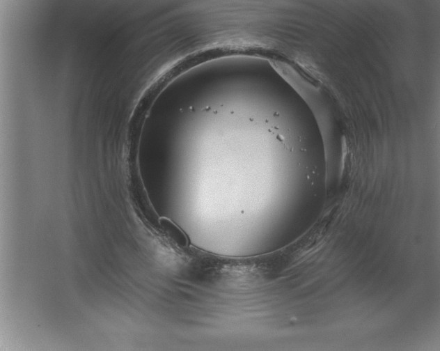 X0000062650440200512281651