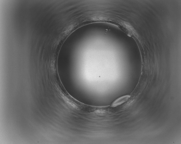 X0000062650441200512281651