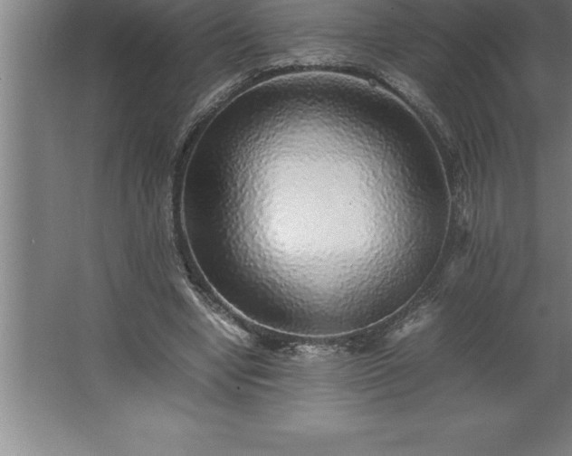 X0000062650442200512281651