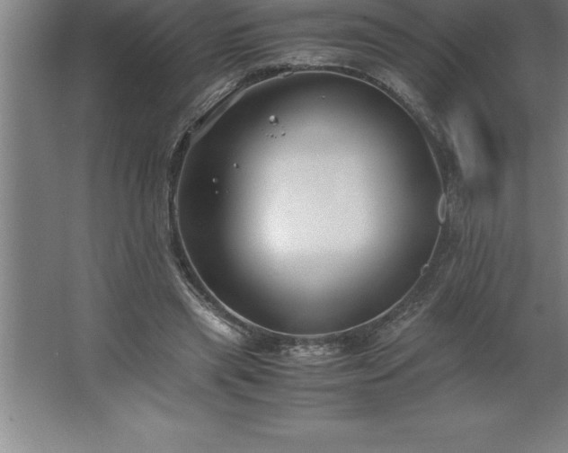 X0000062650445200512281651