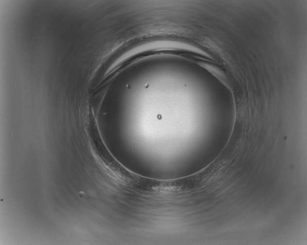 X0000062650448200512281651