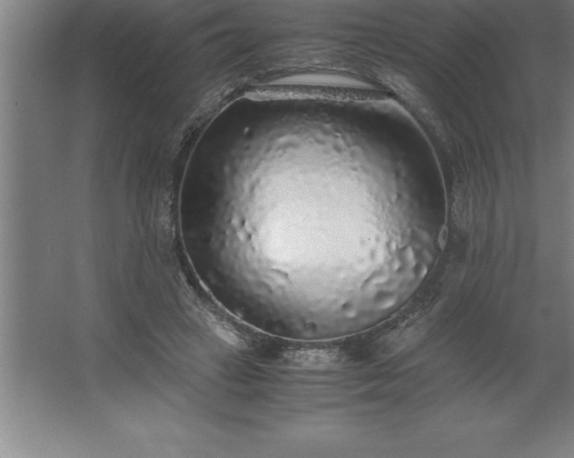 X0000062650449200512281651