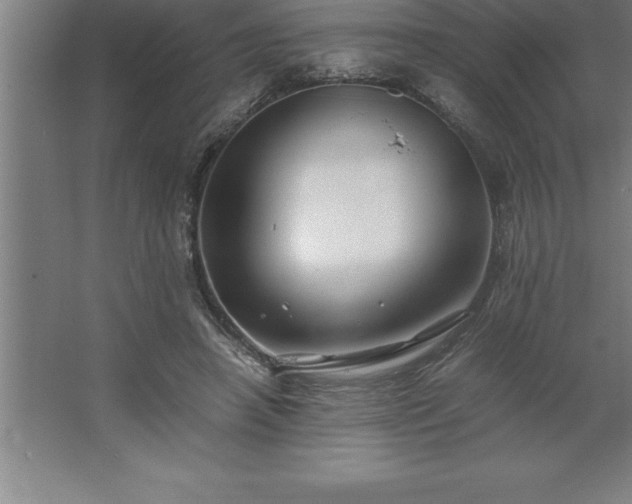 X0000062650450200512281651