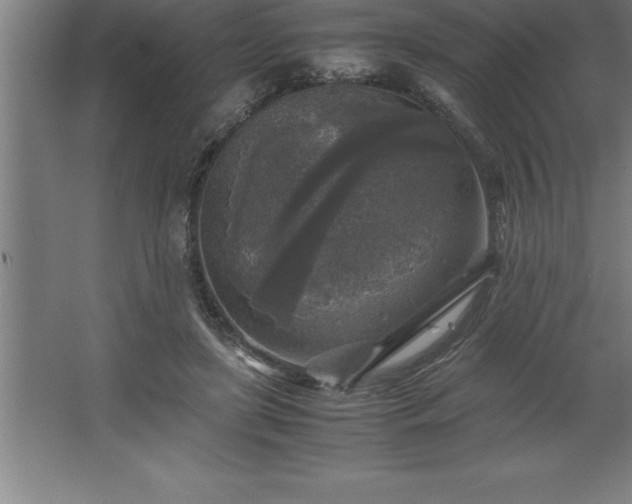 X0000062650451200512281651