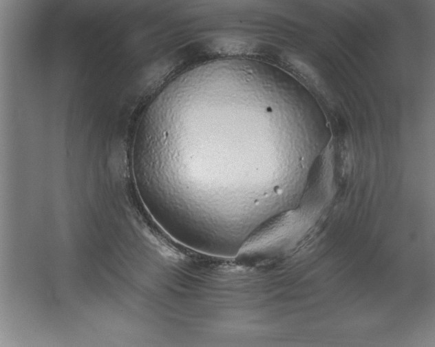 X0000062650453200512281651