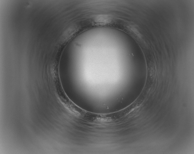 X0000062650455200512281651