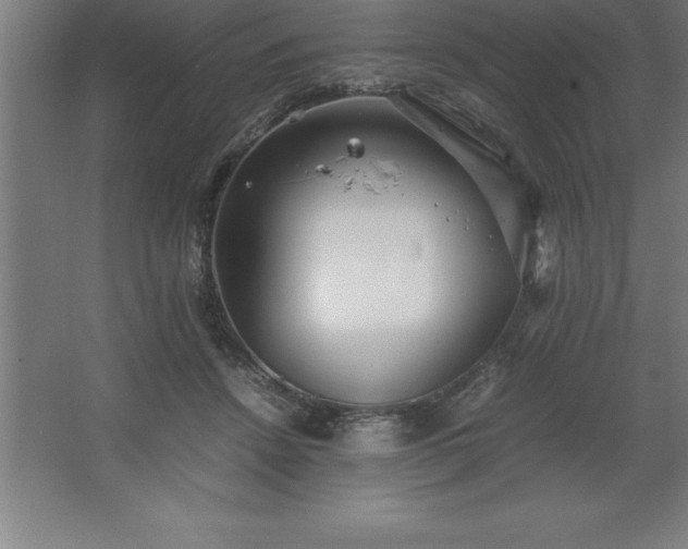 X0000062650456200512281651