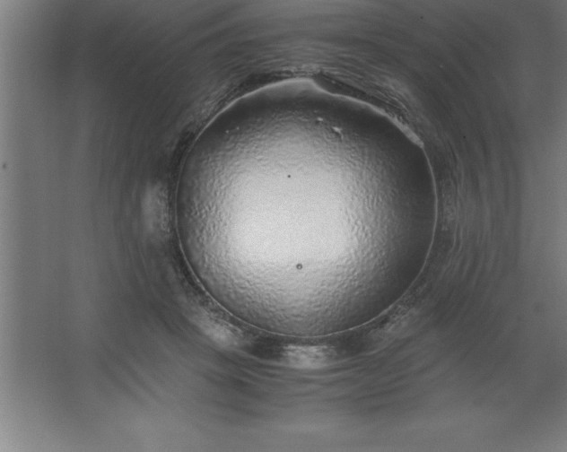 X0000062650457200512281651