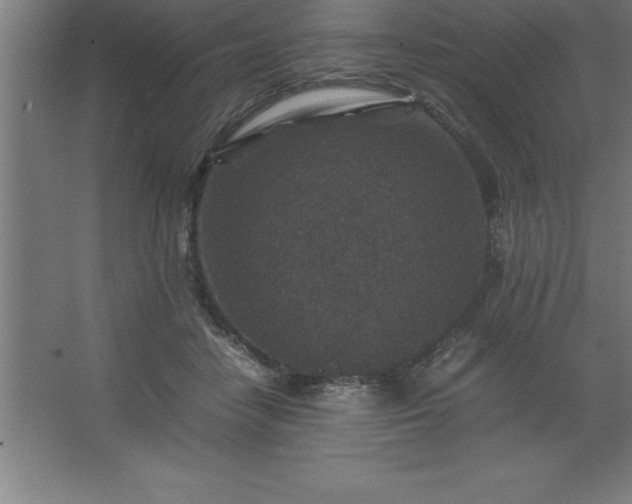 X0000062650458200512281651