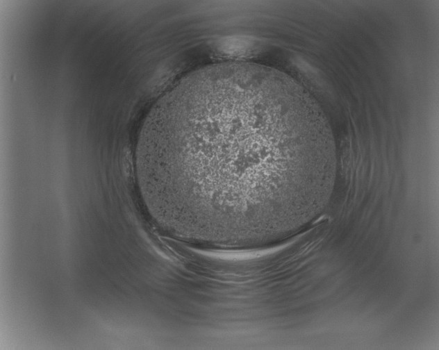 X0000062650459200512281651