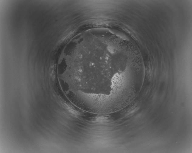 X0000062650462200512281651