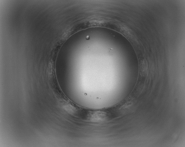 X0000062650463200512281651