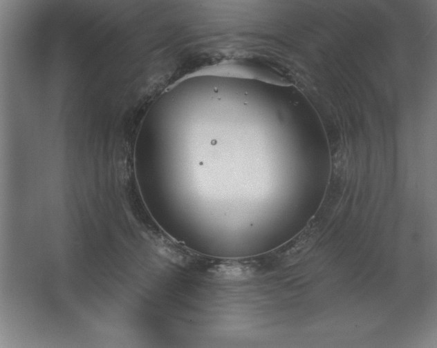 X0000062650464200512281651