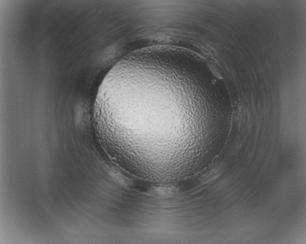 X0000062650466200512281652