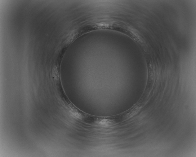 X0000062650467200512281652