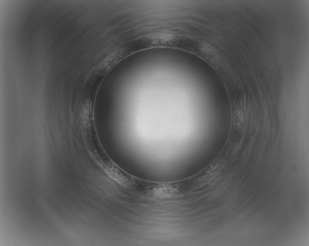 X0000062650468200512281652