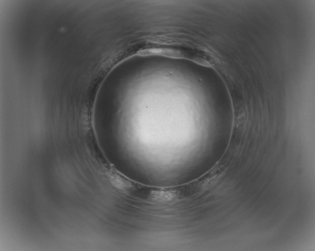 X0000062650469200512281652