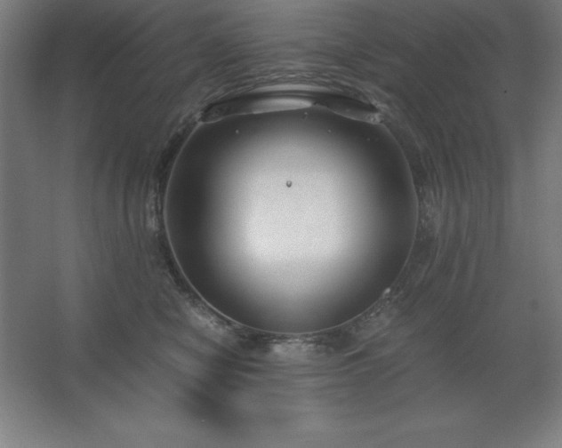 X0000062650470200512281652