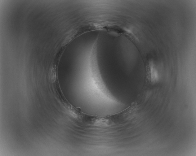 X0000062650471200512281652