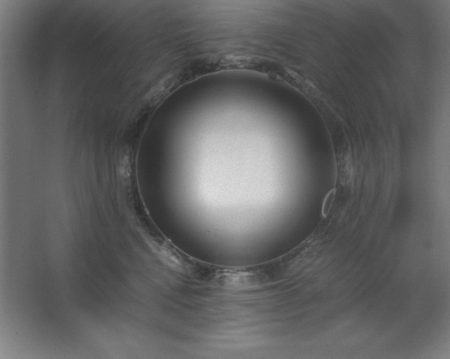 X0000062650472200512281652