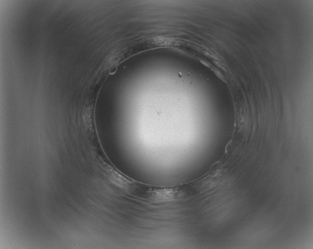 X0000062650473200512281652