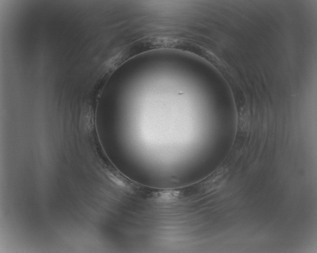 X0000062650474200512281652