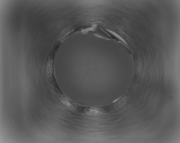 X0000062650475200512281652