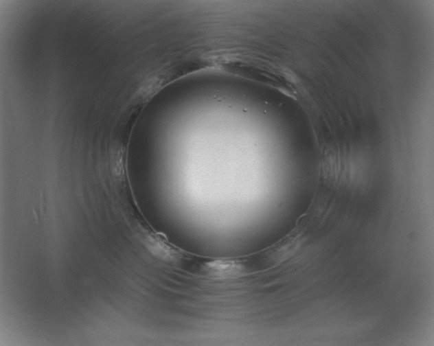 X0000062650477200512281652