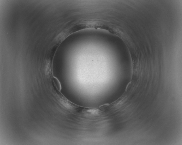 X0000062650478200512281652