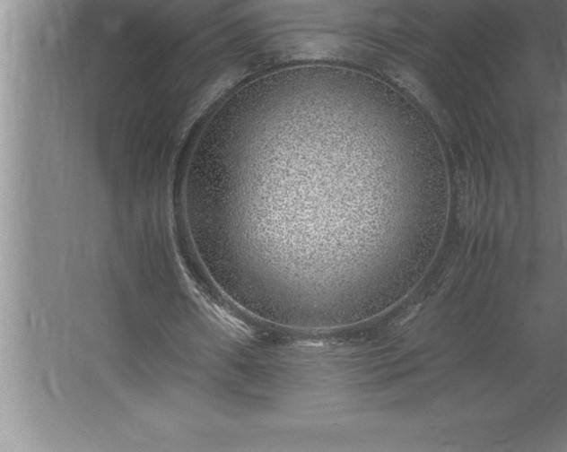 X0000062650482200512281651