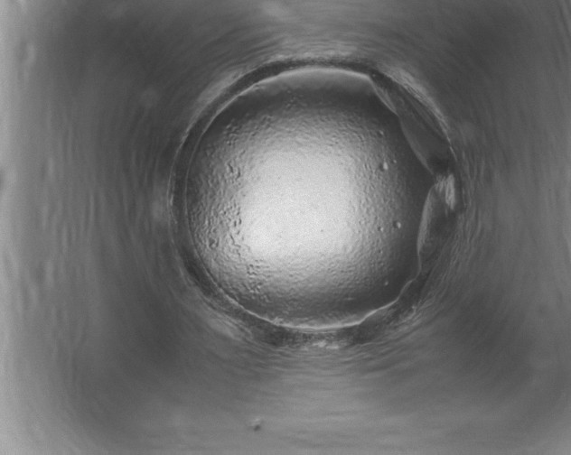 X0000062650483200512281651