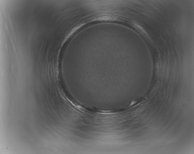 X0000062650484200512281651