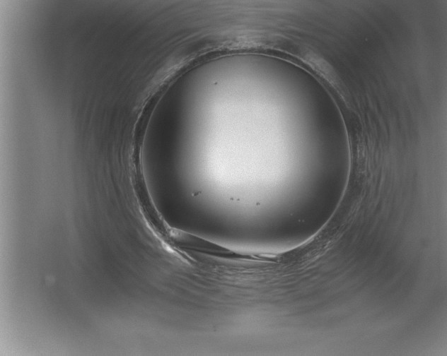 X0000062650485200512281651