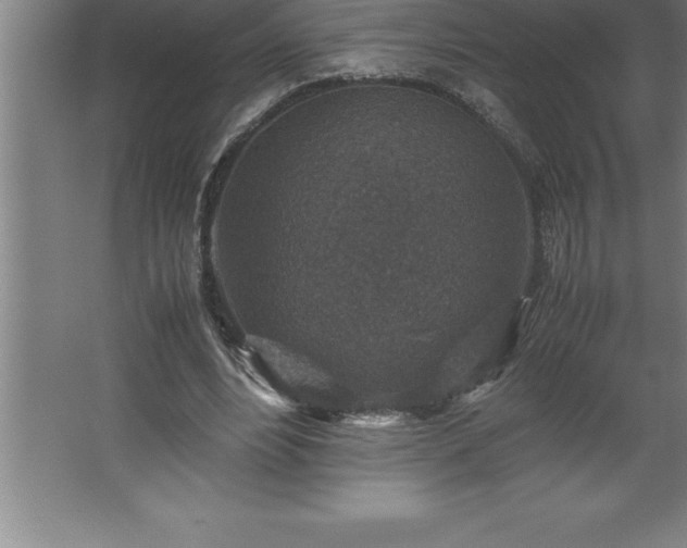 X0000062650488200512281651